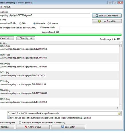 Bulk Image Downloader 6.55